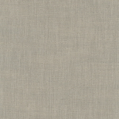 Athlete Slate by Carole Designer Fabric Pewter 60% Cotton, 40% Polyester India Passes 50,000 Double Rubs Wyzenbeek </p><p>Repeat: None 55" - Swanky Fabrics -