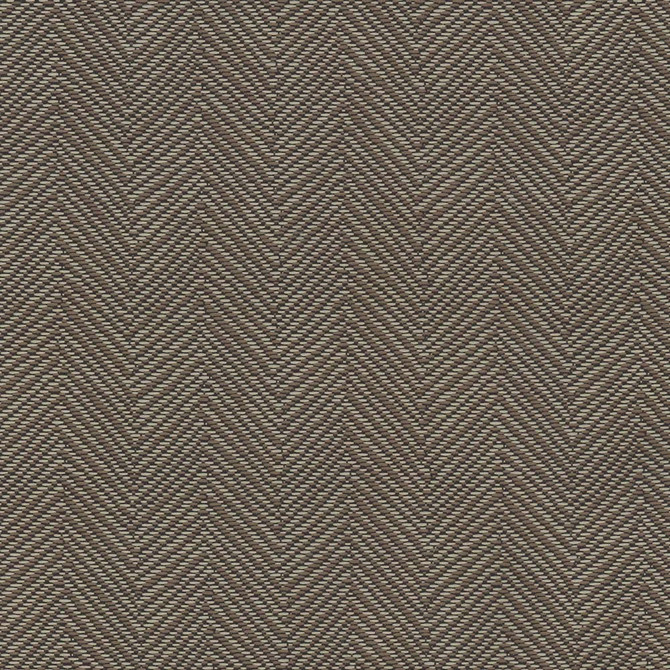 Broadmayne Onyx by Carole Designer Fabric Bigelow 100% Polyester China Passes 14,000 Double Rubs Wyzenbeek Horizontal: 125 and Vertical: 125 57 - Swanky Fabrics -