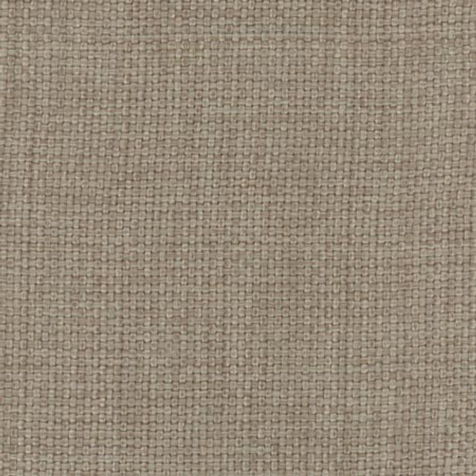 Director's Cut Doeskin by Carole Designer Fabric NARRATOR 100% Polyester Turkey N/A None 58" - Swanky Fabrics -