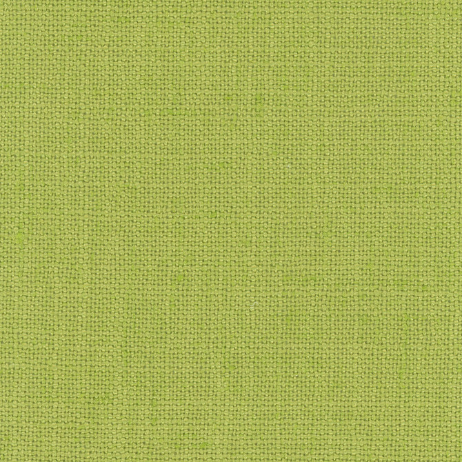 Defense Aloe by Carole Designer Fabric Celadon 95% Polyester, 5% Linen China Passes 110,000 Double Rubs Wyzenbeek Horizontal: 0 and Vertical: 0 57 - Swanky Fabrics -