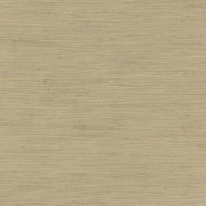 Lydia Mineral by Carole Designer Fabric Lydia Ii 100% Polyester India N/A Horizontal: 0 and Vertical: 0 54 - Swanky Fabrics -