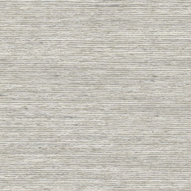 Mischief Silver by Carole Designer Fabric Texture Theory 80% Polyester, 20% Cotton India Passes 30,000 Double Rubs Wyzenbeek Horizontal: 0 and Vertical: 0 55 - Swanky Fabrics -