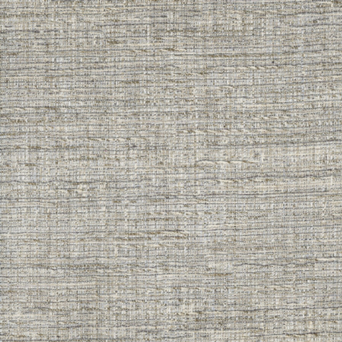 Righteous Flint by Carole Designer Fabric Pewter 72% Polyester, 19% Cotton, 9% Rayon India Passes 30,000 Double Rubs Wyzenbeek None 55.5" - Swanky Fabrics -
