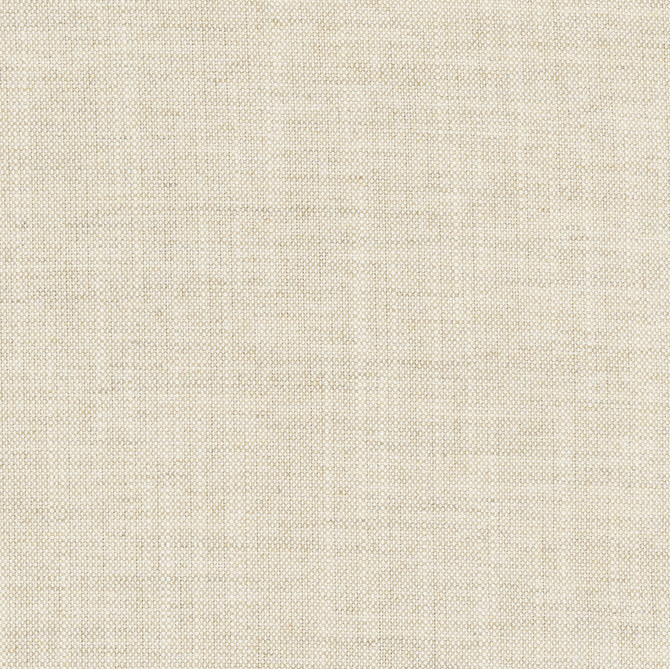 Aerial Flax by Carole Designer Fabric Opal 100% Polyester India Passes 50,000 Double Rubs Wyzenbeek Horizontal: 0 and Vertical: 0 56 - Swanky Fabrics -