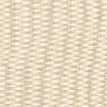 Aerial Flax by Carole Designer Fabric Opal,Toasted Almond 100% Polyester India None 54" - Swanky Fabrics -