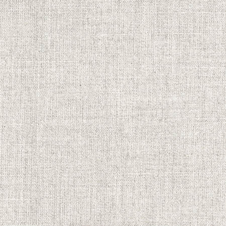 Aerial Stone by Carole Designer Fabric Pewter,Dove Wing 100% Polyester India Passes 50,000 Double Rubs Wyzenbeek None 54" - Swanky Fabrics -