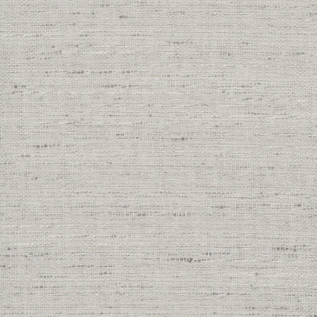 Foreseeable Platinum by Carole Designer Fabric Pewter 100% Polyester India N/A </p><p>Repeat: None 54" - Swanky Fabrics -