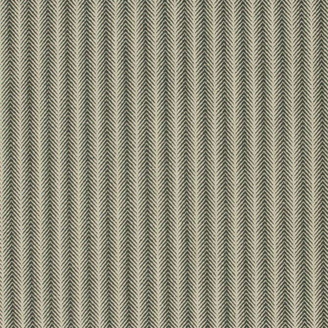 Citiscape Charcoal by Carole Designer Fabric Park Cities 100% Polyester China Passes 15,000 Double Rubs Wyzenbeek Horizontal: 1 and Vertical: 25 56 - Swanky Fabrics -