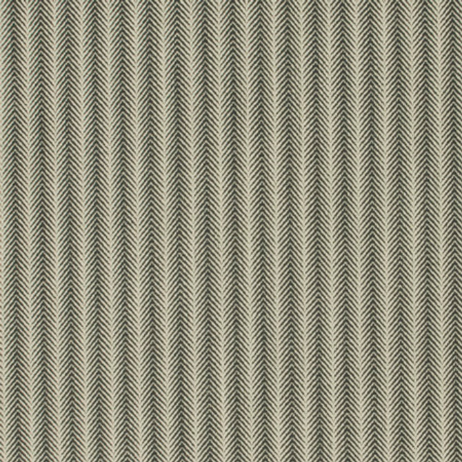 Citiscape Charcoal by Carole Designer Fabric Park Cities 100% Polyester China Passes 15,000 Double Rubs Wyzenbeek Horizontal: 1" and Vertical: 1/4" V 56" - Swanky Fabrics -