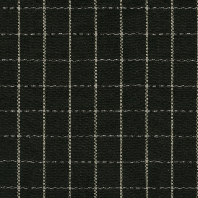Weston Grid Onyx 408884 by PKL Studio Designer Fabric - 55%Linen 45%Cotton CHINA 30000 Horizontal: 1.625 and Vertical: 1.625 54 - Swanky Fabrics -