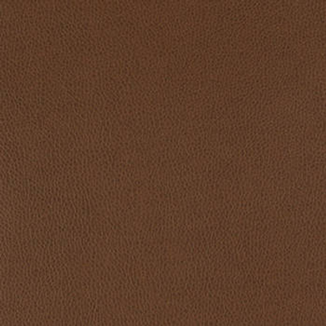 Tolstoy Earth WTL-005 by Nassimi Designer Fabric See sample 100% Polyurethane USA or Imported Water-based cleaning agents and foam may be used for cleaning. Cleaning by a professional cleaning service is recommended. </p><p>Repeat: Horizontal: and Vertical: 54" - Swanky Fabrics -