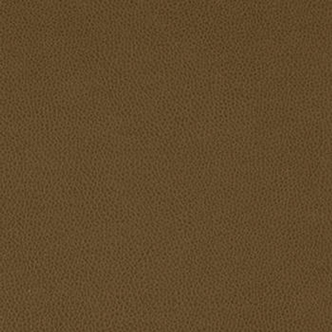Tolstoy Timber WTL-016 by Nassimi Designer Fabric See sample 100% Polyurethane USA or Imported Water-based cleaning agents and foam may be used for cleaning. Cleaning by a professional cleaning service is recommended. </p><p>Repeat: Horizontal: and Vertical: 54" - Swanky Fabrics -