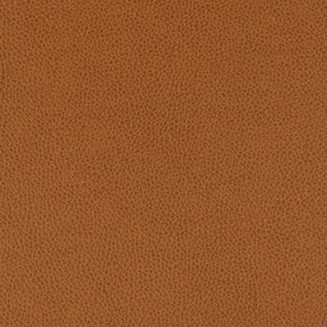 Tolstoy Whiskey WTL-018 by Nassimi Designer Fabric See sample 100% Polyurethane USA or Imported Water-based cleaning agents and foam may be used for cleaning. Cleaning by a professional cleaning service is recommended. </p><p>Repeat: Horizontal: and Vertical: 54" - Swanky Fabrics -