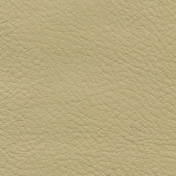 Verve Ecru EVE-012 by Nassimi Designer Fabric See sample 100% Polyurethane USA or Imported Water-based cleaning agents and foam may be used for cleaning. Cleaning by a professional cleaning service is recommended.  54  - Swanky Fabrics -