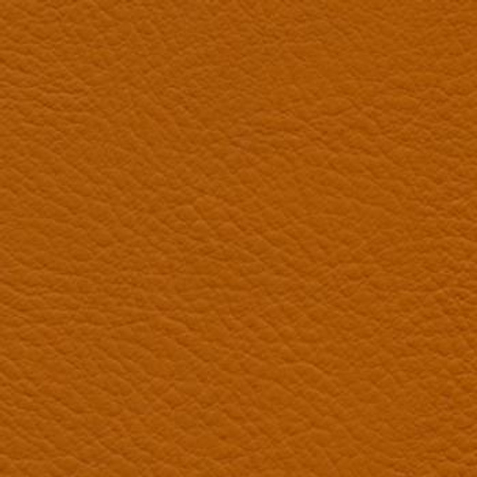 Verve Papaya EVE-025 by Nassimi Designer Fabric See sample 100% Polyurethane USA or Imported Water-based cleaning agents and foam may be used for cleaning. Cleaning by a professional cleaning service is recommended. </p><p>Repeat: Horizontal: and Vertical: 54" - Swanky Fabrics -