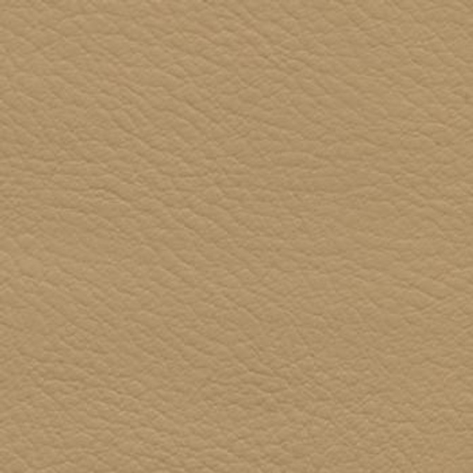 Verve Sisal EVE-032 by Nassimi Designer Fabric See sample 100% Polyurethane USA or Imported Water-based cleaning agents and foam may be used for cleaning. Cleaning by a professional cleaning service is recommended. </p><p>Repeat: Horizontal: and Vertical: 54" - Swanky Fabrics -