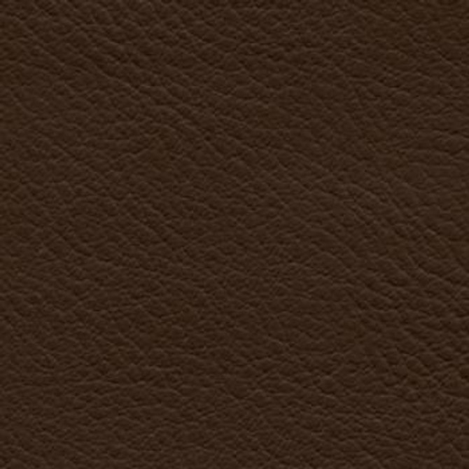 Verve Sumatra by Nassimi Designer Fabric See sample 100% Polyurethane  250000 Horizontal: Not Applicable and Vertical: Not Applicable 54"  - Swanky Fabrics -