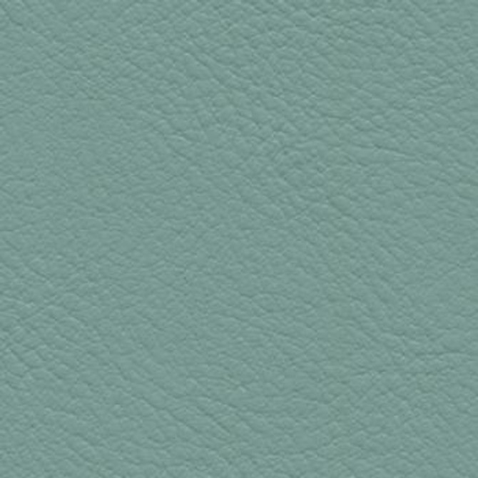 Verve Surf EVE-037 by Nassimi Designer Fabric See sample 100% Polyurethane USA or Imported Water-based cleaning agents and foam may be used for cleaning. Cleaning by a professional cleaning service is recommended.  54  - Swanky Fabrics -