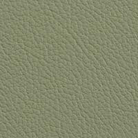 Vista Aloe VIS-37 by Omnova Designer Fabric See sample 100% Vinyl USA or Imported Water-based cleaning agents and foam may be used for cleaning. Cleaning by a professional cleaning service is recommended.  54  - Swanky Fabrics -