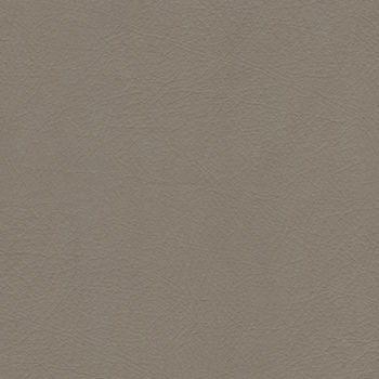 Whisper Fawn 1009253 by Spradling Designer Fabric See sample 100% Vinyl USA or Imported Water-based cleaning agents and foam may be used for cleaning. Cleaning by a professional cleaning service is recommended.  54  - Swanky Fabrics -