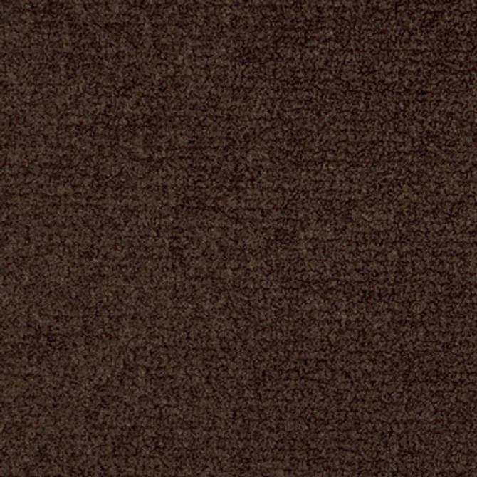 Interlude Sable 1003294 by Crypton Designer Fabric See sample 100% Polyester USA or Imported Water-based cleaning agents and foam may be used for cleaning. This fabric may also be cleaned with mild, water-free solvents. Cleaning by a professional service is recommended. </p><p>Repeat: Horizontal: Not Applicable and Vertical: Not Applicable 54" - Swanky Fabrics -