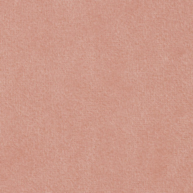 Suede Blush 1001672 by Crypton Designer Fabric See sample 100% Polyester USA or Imported Water-based cleaning agents and foam may be used for cleaning. This fabric may also be cleaned with mild, water-free solvents. Cleaning by a professional service is recommended. </p><p>Repeat: Horizontal: Not Applicable and Vertical: Not Applicable 54" - Swanky Fabrics -