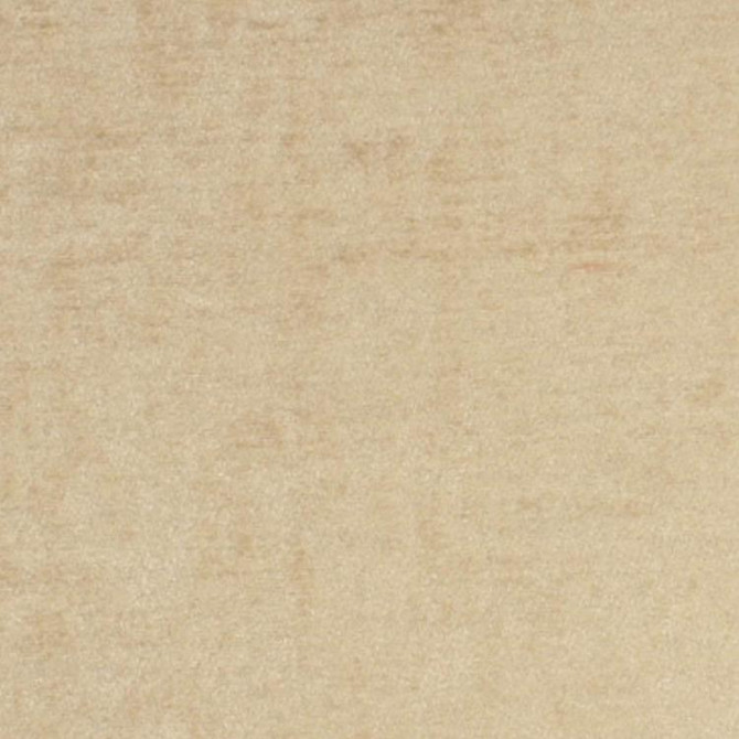 Sovereign Fig by RM CoCo Designer Fabric ROYAL PLUSH F06**** 75% RAYON 25% POLYESTER Horizontal: 0 and Vertical: 0 55 - Swanky Fabrics -