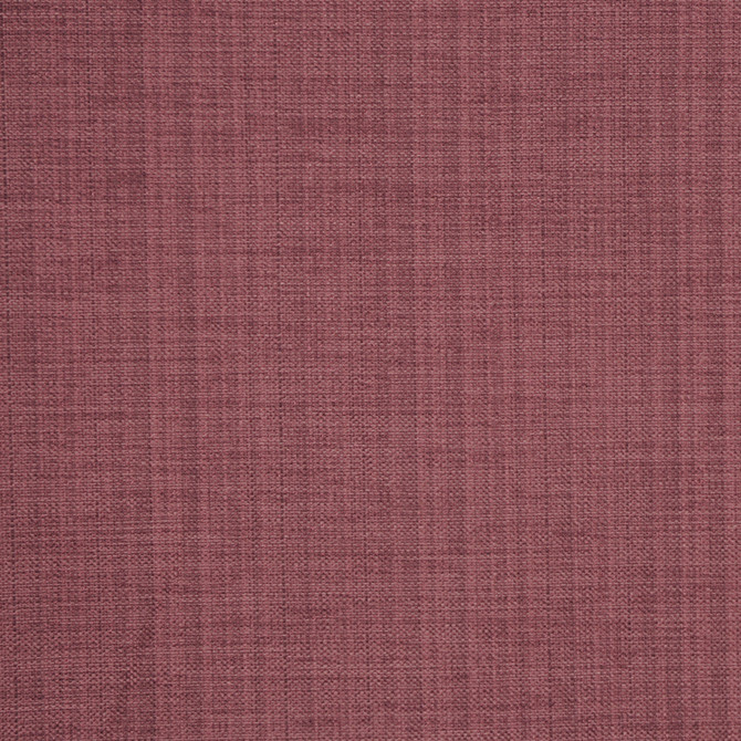 1888Cb Plumberry by RM CoCo Designer Fabric Berry Harvest 84% Polyester 16% Cotton 30000 Horizontal: 0 and Vertical: 0 54 - Swanky Fabrics -