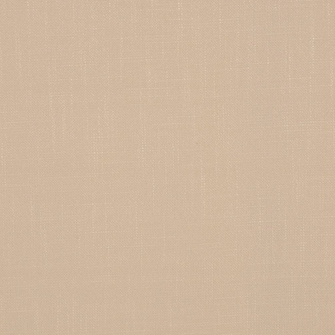 Allegro Natural by RM CoCo Designer Fabric Time Keeper 55% Rayon 45% Polyester See Sample 0 Horizontal: 0 and Vertical: 0 55 - Swanky Fabrics -