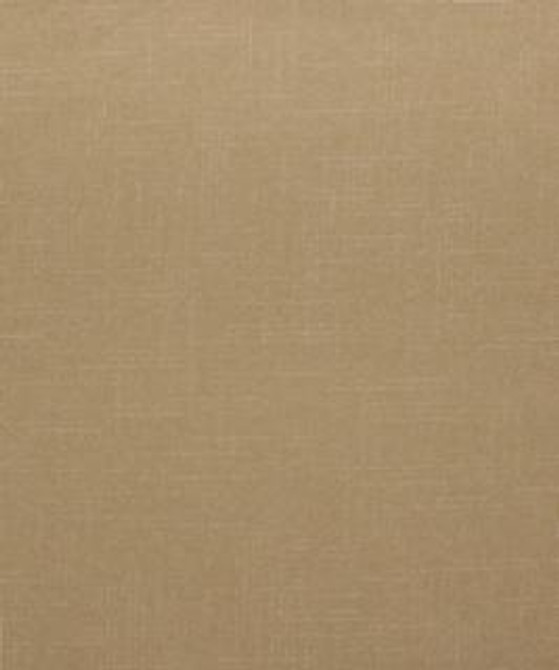 Pantograph 11303 M10441R by Barrow Designer Fabric 19CL04 86% POLYESTER FILAMENT NON-TEXTURED 14% POLYESTER (S) CHINA 15,000 DOUBLE RUBS </p><p>Repeat: Horizontal: and Vertical: 54" Minimum - Swanky Fabrics -
