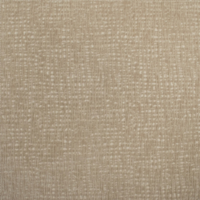Carolina - Porridge by Europatex Designer Fabric Carolina 100% Polyester China See Sample Horizontal: N/A and Vertical: N/A 55.00 inches  - Swanky Fabrics -