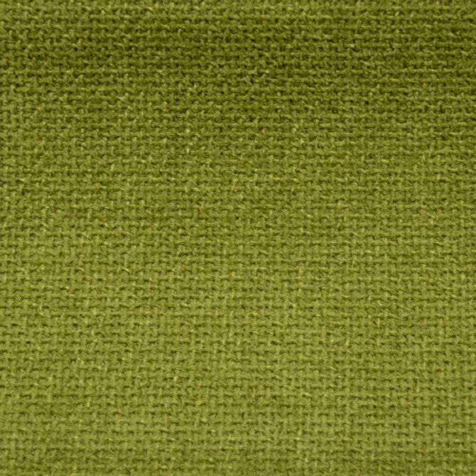 Cuddle - Fennel by Europatex Designer Fabric Cuddle 100% Polyester China See Sample Horizontal: N/A and Vertical: N/A 54.00 inches  - Swanky Fabrics -