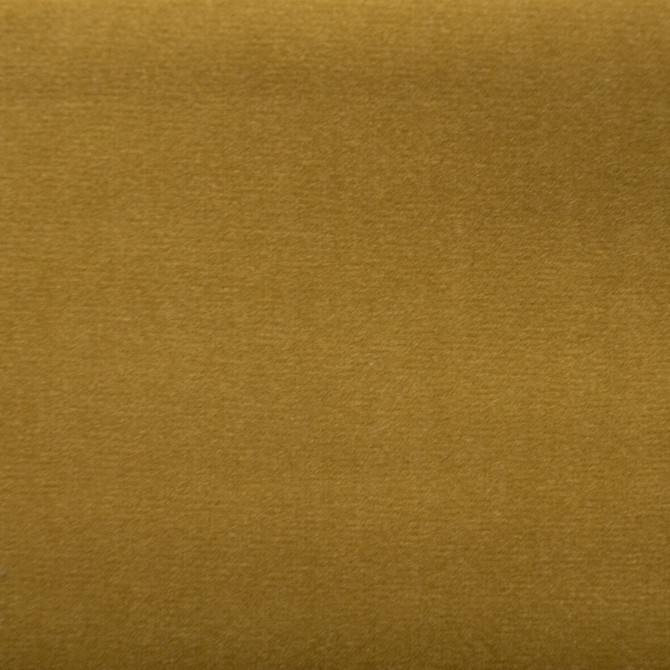 Sahara Lion by Europatex Designer Fabric Sahara 100% Polyester China 50,000 Double Rubs Horizontal: N/A and Vertical: N/A 56" - Swanky Fabrics -