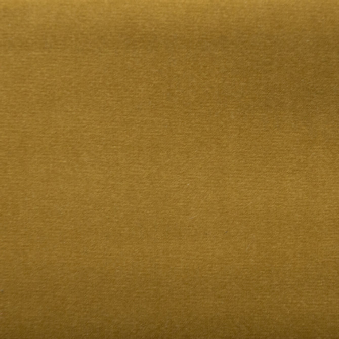 Sahara - Lion by Europatex Designer Fabric Sahara 100% Polyester China See Sample Horizontal: N/A and Vertical: N/A 57.00 inches  - Swanky Fabrics -