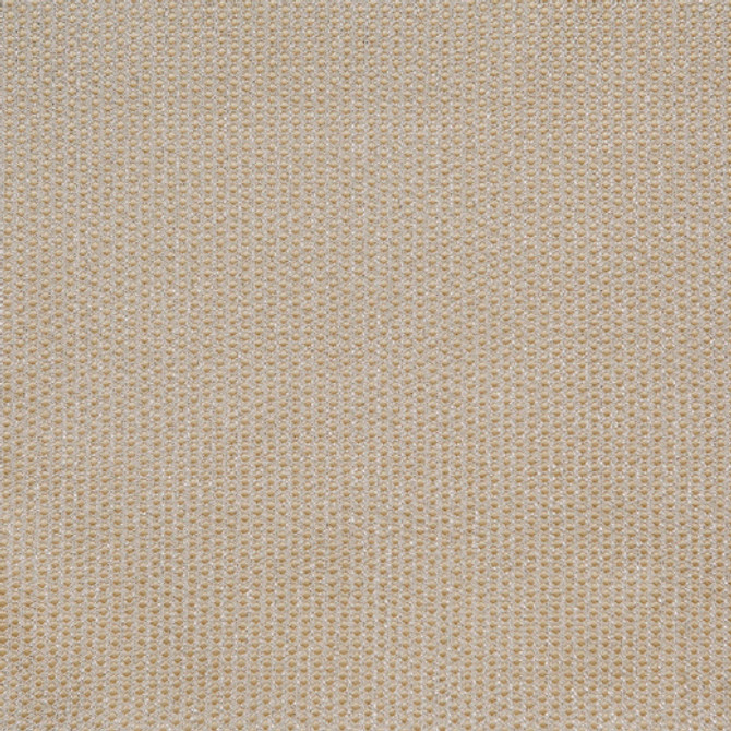 Spectacular - B - Cream by Europatex Designer Fabric Spectacular 100% Polyester China See Sample Horizontal: N/A and Vertical: N/A 110.00 inches  - Swanky Fabrics -