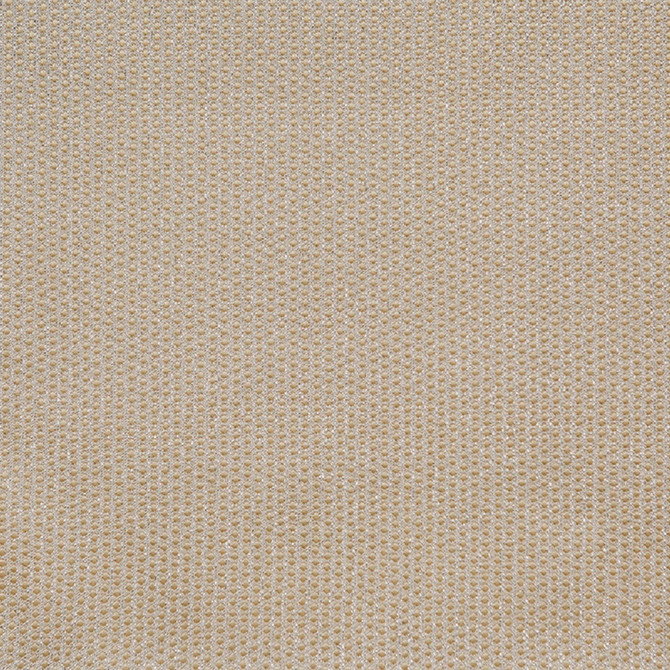 Spectacular B Cream by Europatex Designer Fabric Spectacular 100% Polyester 0.40" H, 0.20" V 110.00 inches - Swanky Fabrics -