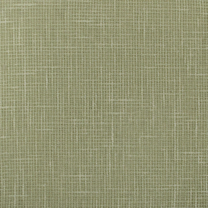 Turks Aloe by Europatex Designer Fabric Turks & Caicos 91% Polyester, 09% Cotton 0.00" 55.00 inches - Swanky Fabrics -