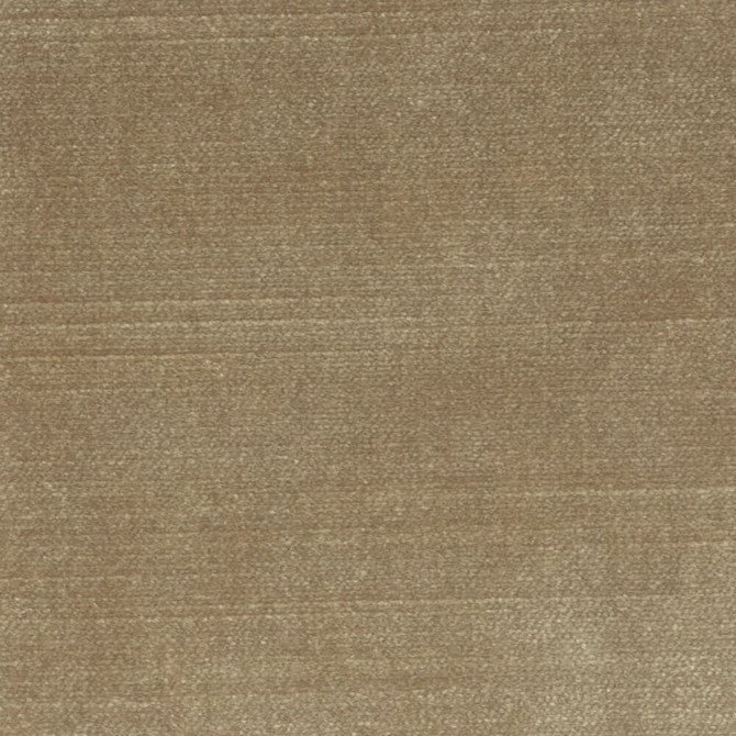 Belgium 1 Sandstone by Stout Fabric Stout Fabric Belgium 1 SandstoneFabric REMINISCENT VELVET INDIA </p><p>Repeat: H: 0.000, V: 0.000 55 in - Fabric Carolina -