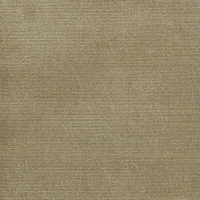 Belgium 17 Burlap by Stout Fabric Stout Fabric Belgium 17 BurlapFabric REMINISCENT VELVET 68%SVI 32%POL INDIA </p><p>Repeat: H: 0.000, V: 0.000 55 in - Fabric Carolina -