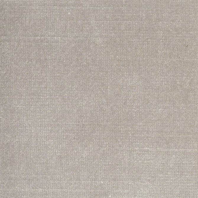 Belgium 26 Birch by Stout Fabric Stout Fabric Belgium 26 BirchFabric REMINISCENT VELVET 68%SVI 32%POL INDIA </p><p>Repeat: H: 0.000, V: 0.000 55 in - Fabric Carolina -