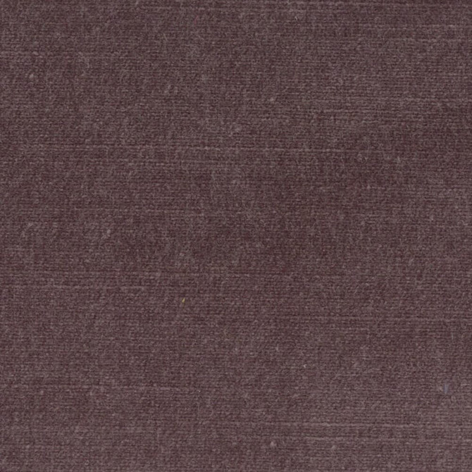 Belgium 5 Purple by Stout Fabric Stout Fabric Belgium 5 PurpleFabric REMINISCENT VELVET 68%SVI 32%POL INDIA </p><p>Repeat: H: 0.000, V: 0.000 55 in - Fabric Carolina -