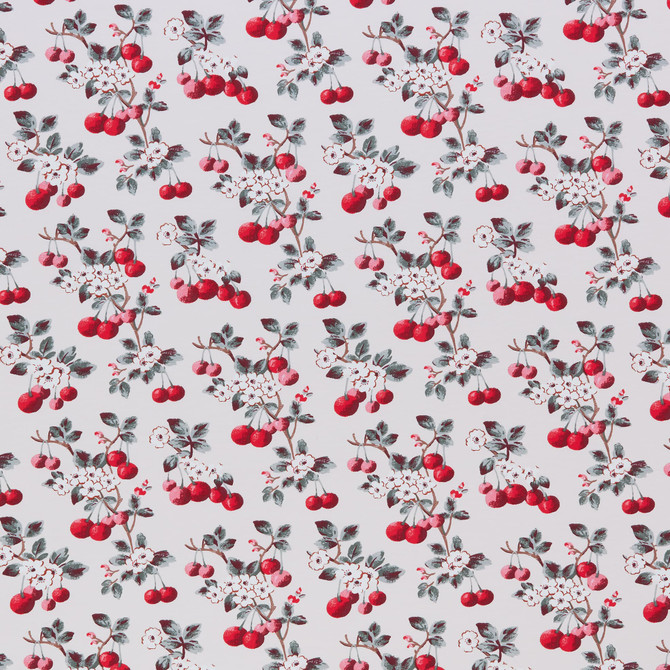 Flawless 1 Cherry by Stout Fabric Stout Fabric Flawless 1 CherryFabric THE ART OF COLOR CATH KIDSTON 100%COT TURKEY </p><p>Repeat: H: 13.500, V: 8.875 55 in - Fabric Carolina -
