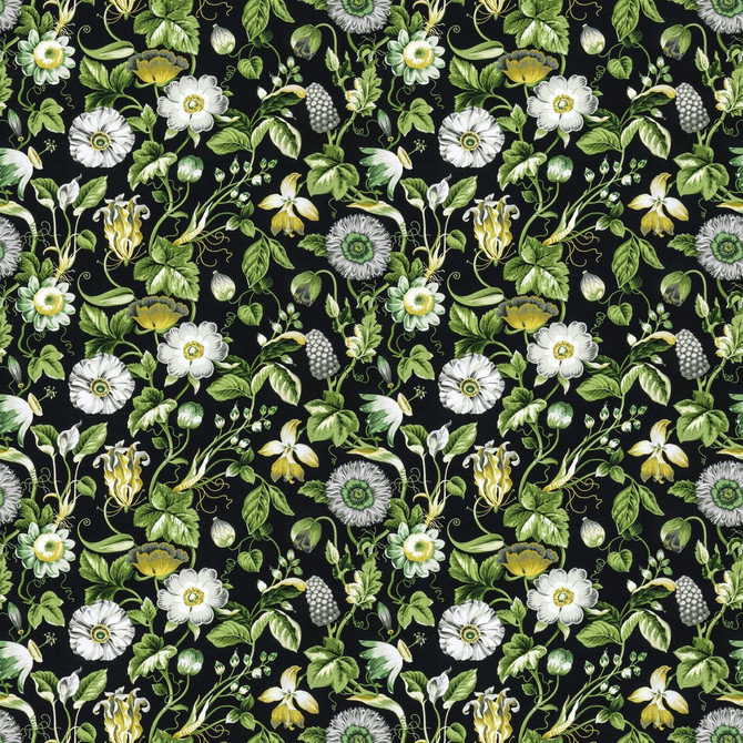 Obtuse 4 Black by Stout Designer Fabric RAINBOW LIBRARY FOG/COAL 100%COT PERU Horizontal: 27.000 and Vertical: 18.000 54 in - Swanky Fabrics -