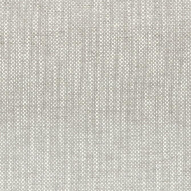 Panic 4 Cement by Stout Designer Fabric LIVING IS EASY SMOKE/COAL 100%UV USA Horizontal: 0.125 and Vertical: 0.125 56 in - Swanky Fabrics -