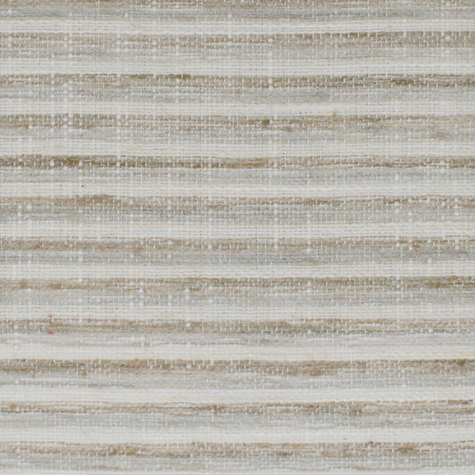 Statesman 3 Driftwood by Stout Designer Fabric RAINBOW LIBRARY TOAST/DRIFTWOOD 100%POL INDIA Horizontal: 0.000 and Vertical: 0.000 54 in - Swanky Fabrics -
