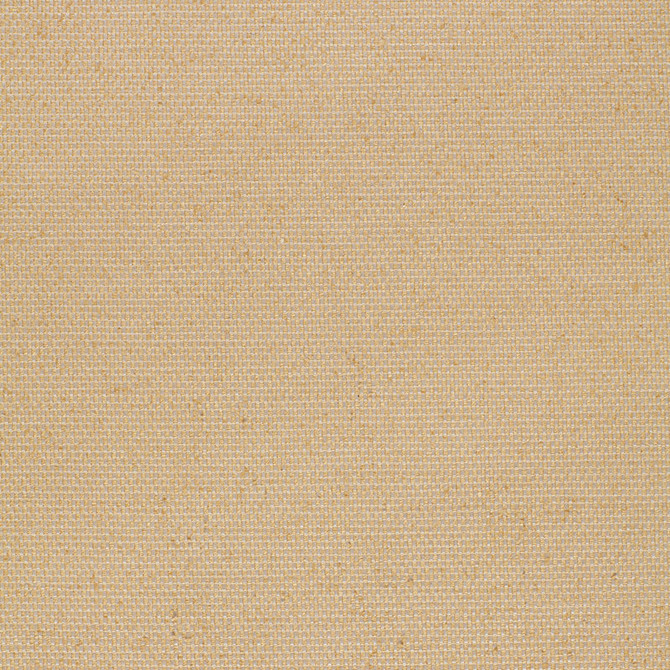 Shantung Plain Weave Sisal 2643461 by Schumacher Designer Fabric OPULENT TEXTURES SILK 100% INDIA WYZENBEEK 18,000 </p><p>Repeat: Horizontal: and Vertical: 54 - Swanky Fabrics -