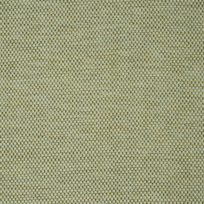 Momo Hand Woven Texture Fern 78933 by Schumacher Designer Fabric A Rum Fellow - Swanky Fabrics -