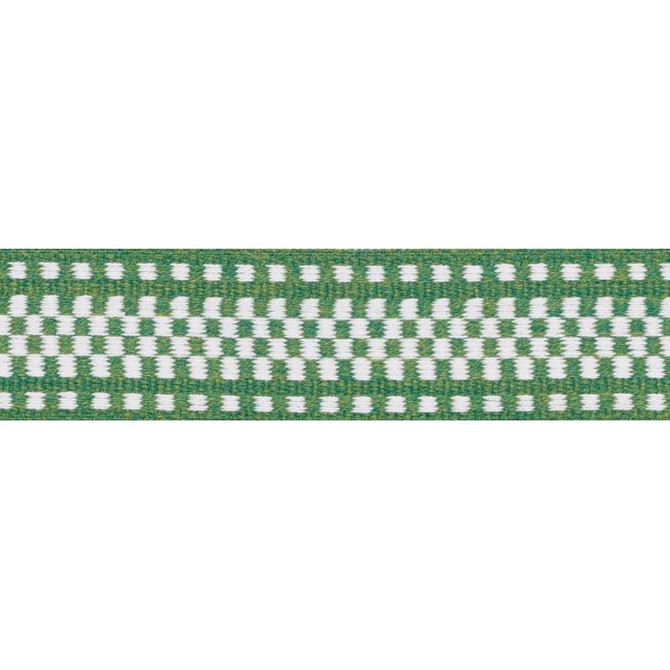 Marta Tape Indoor/Outdoor Green 73655 by Schumacher Designer Trim Indoor/Outdoor: Prints & Wovens - Swanky Fabrics -