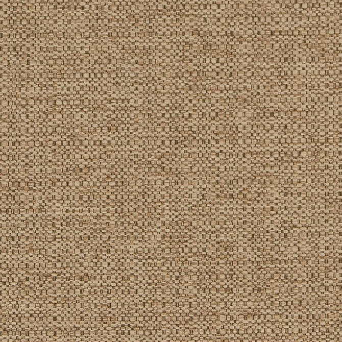 D1578 Sand by Charlotte Designer Fabric Eco Plains 100% Woven Polypropylene Made In USA Exceeds 60,000 Wyzenbeek Rubs (Heavy Duty) No Repeat 54 Inches - Swanky Fabrics -