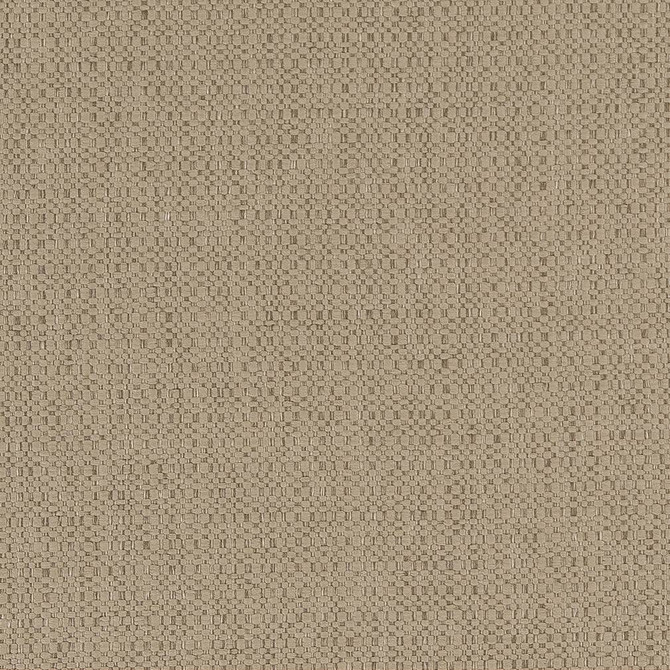 D1593 Dune by Charlotte Designer Fabric Eco Plains 100% Woven Polypropylene Made In USA Exceeds 60,000 Wyzenbeek Rubs (Heavy Duty) No Repeat 54 Inches - Swanky Fabrics -